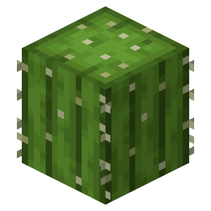 Kaktus